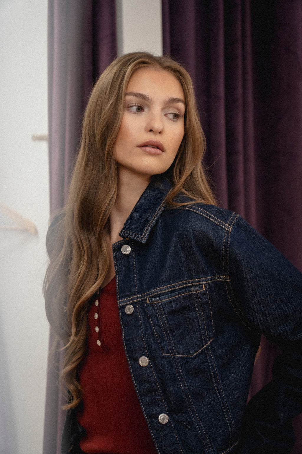 Sadie Cropped Denim Jacket