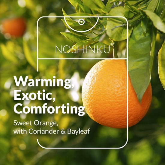 Orange & Coriander Nourishing Hand Sanitizer