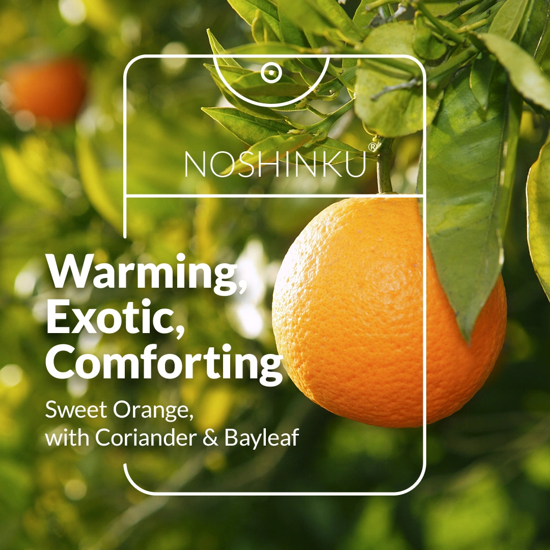 Orange & Coriander Nourishing Hand Sanitizer