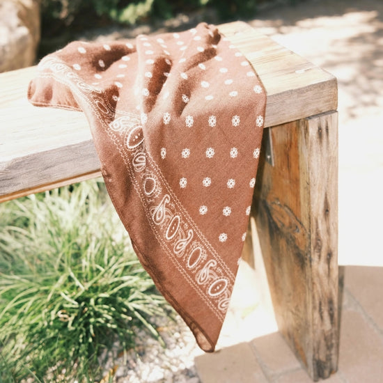 Western Paisley Scarf