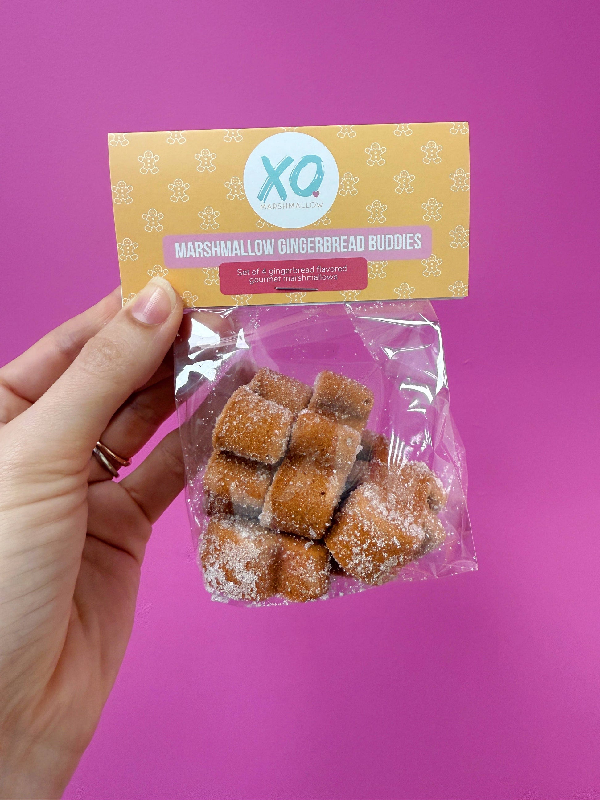 Gingerbread Buddies / Gluten Free /Dairy Free