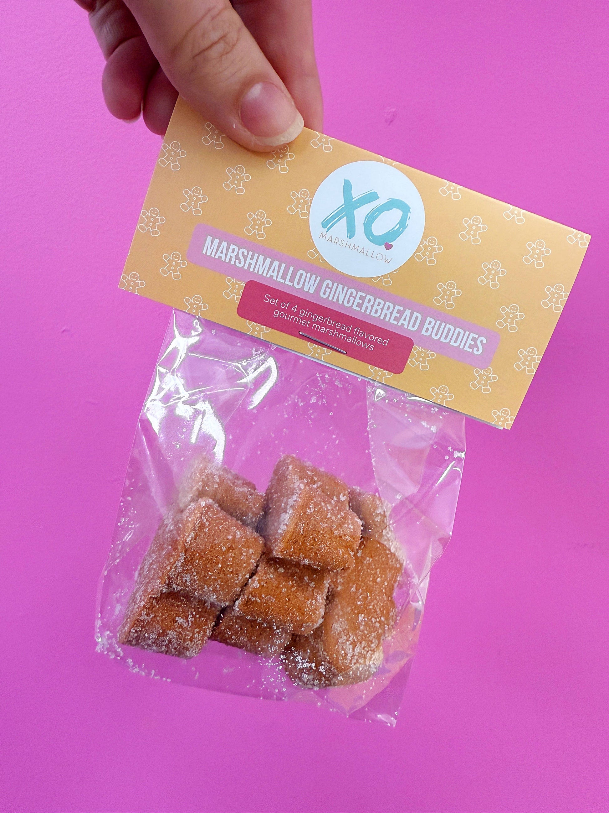 Gingerbread Buddies / Gluten Free /Dairy Free