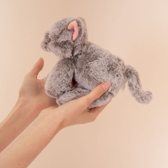 Puppy & Kitten Plushies