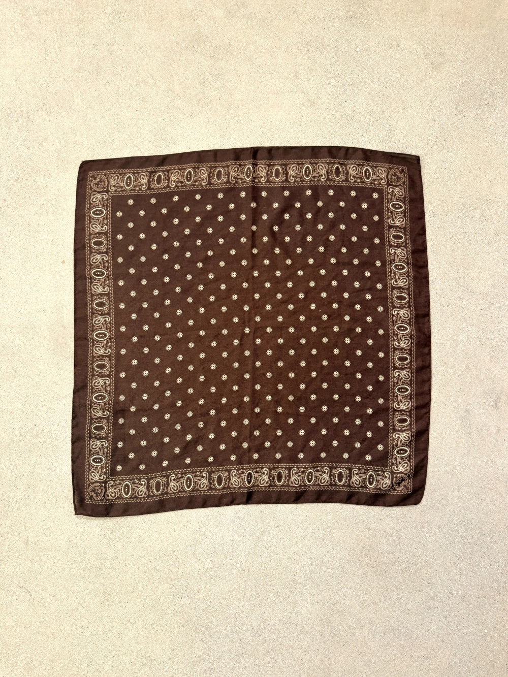 Western Paisley Scarf