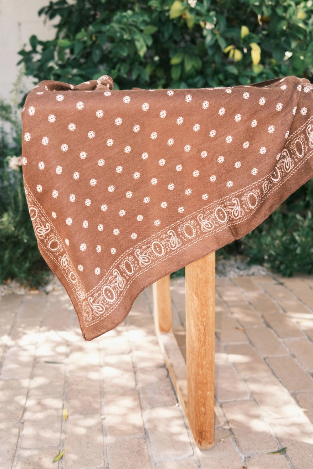 Western Paisley Scarf