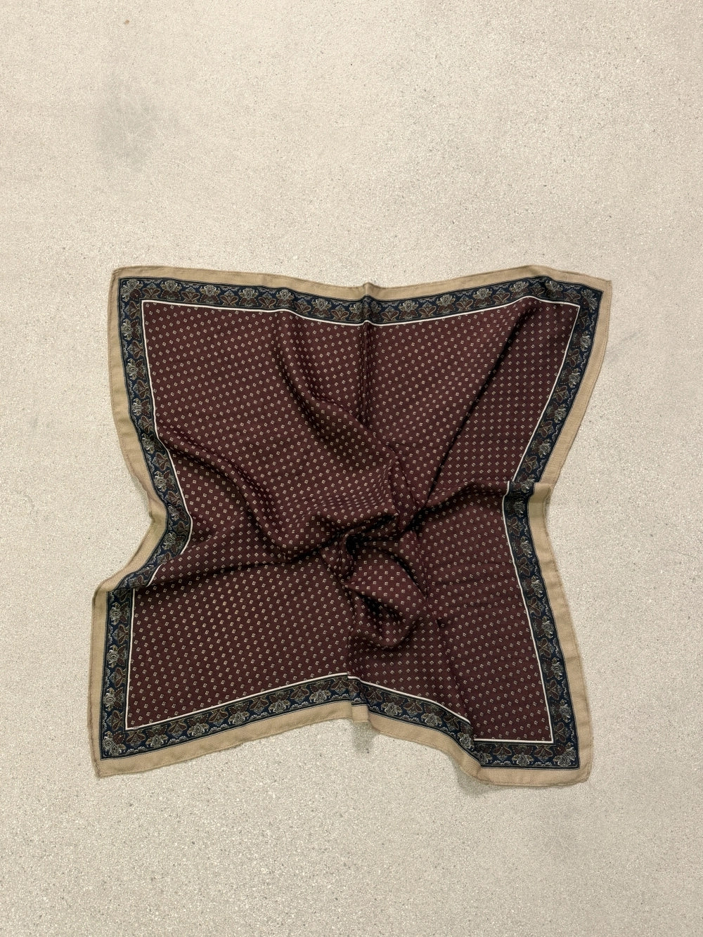 Paisley Border Print Scarf