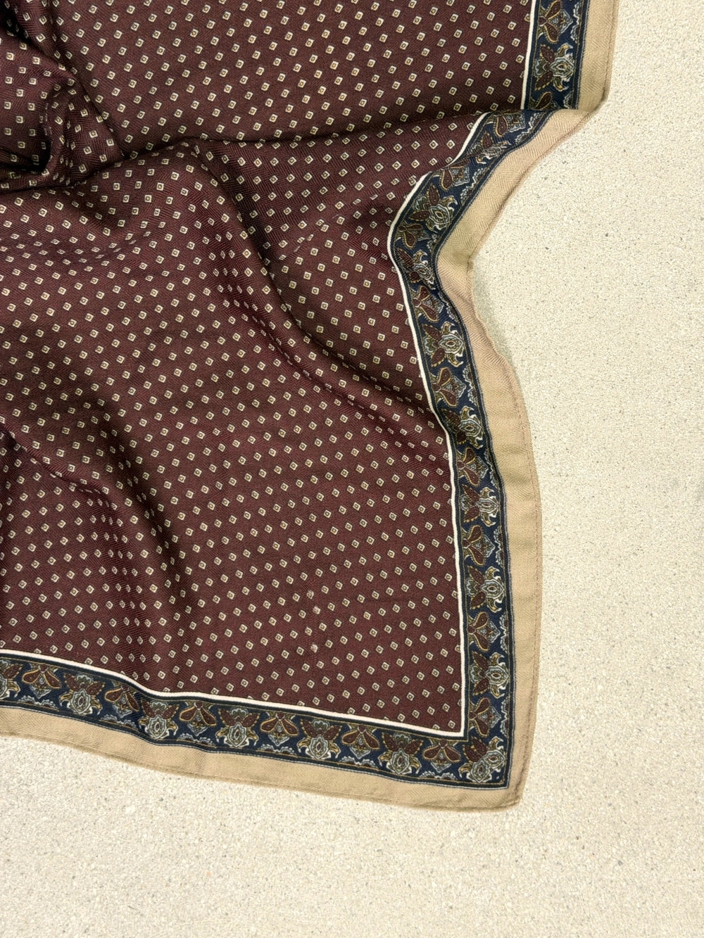Paisley Border Print Scarf