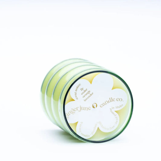 Take It Easy • Wiggle Collection • Green • 9 oz Soy Candle
