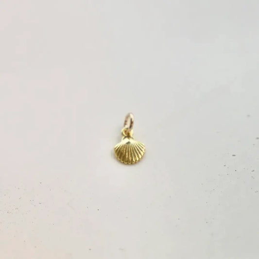 Shell Charm