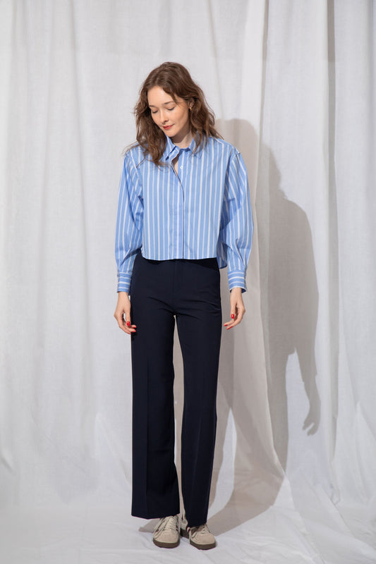 Robin Button Down