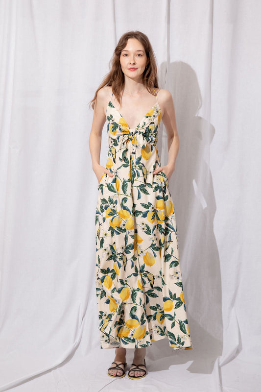 Lemon Garden Dress